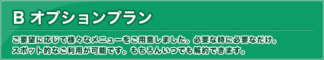 B.オプションプラン